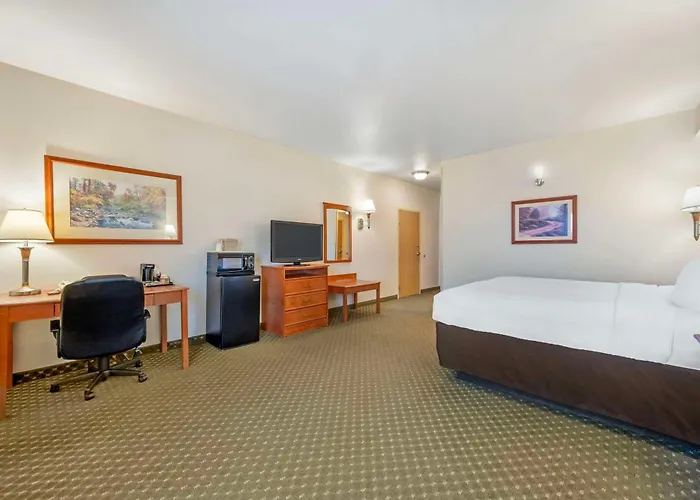 Comfort & Hotel