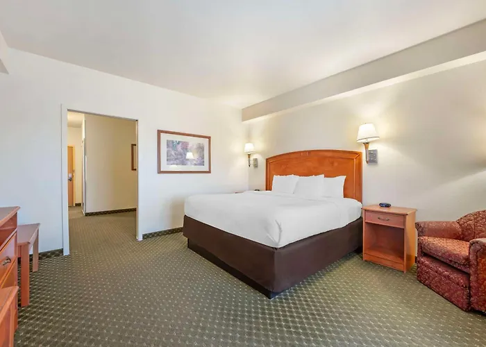 Comfort & Hotel