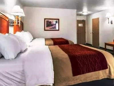 Comfort & 4*