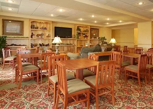 Hotel Comfort & 4*