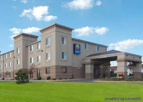 Comfort & Hotel